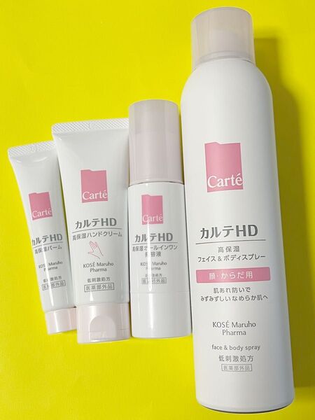 カルテHD 4点セット