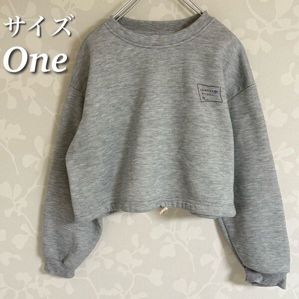 トレーナー バックプリント ショート丈 ドロスト 長袖トップス プルオーバー 裏起毛 グレー ワンサイズ