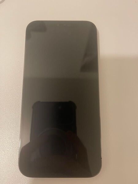 【美品】iPhone 12 Pro 256GB グラファイト SIMフリー 純正バッテリー100%