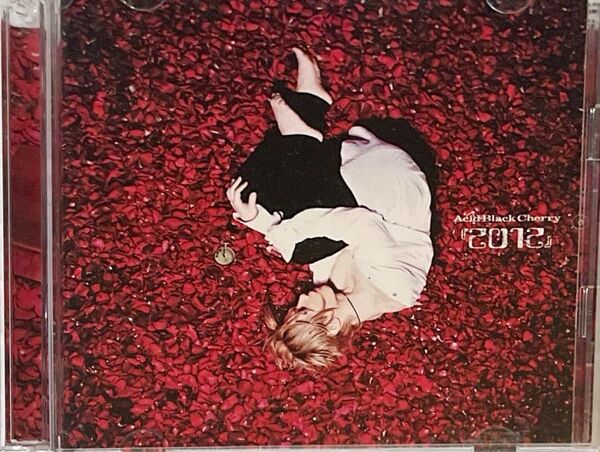Acid Black Cherry 2012 MUSIC CLIP盤CD+ DVD