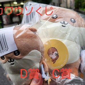 ナガノマーケット ナガノのカワウソぬいぐるみくじ C賞 D賞 マスコット