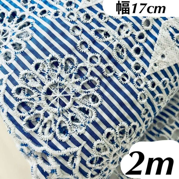 17cm幅 花柄 刺繍 コットン 生地 長さ2m スカラップ しま柄