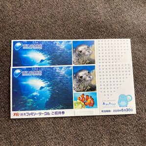 新江ノ島水族館 招待券 2枚 2025年6月30日まで