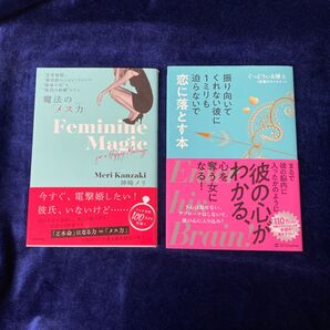 恋愛本2冊セット 魔法のメス力 神崎メリ/振り向いてくれない彼に1ミリも迫らないで恋に落とす本 ぐっどうぃる博士