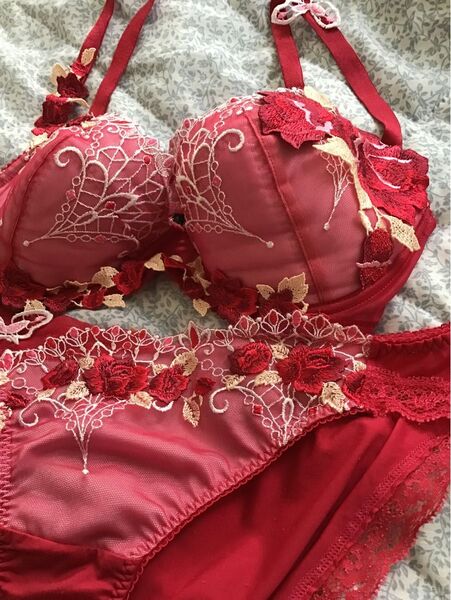 <クリーニング済み>ワコールサルート ブラジャー ショーツE75赤蝶