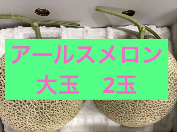 九州産アールスメロン 大玉2玉