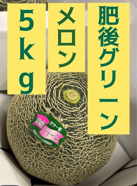 肥後グリーンメロン 5kg