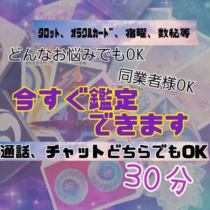 今すぐ 待機中 占い 鑑定30分 (通話、チャットどちらでもOK)
