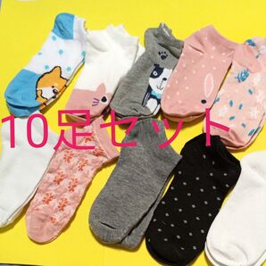 レディースソックス 10足セット