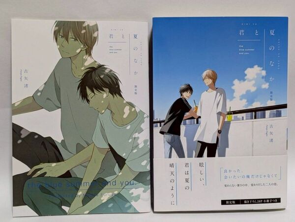 君と夏のなか 限定版 古矢渚 小冊子付 BL ボーイズラブ コミック