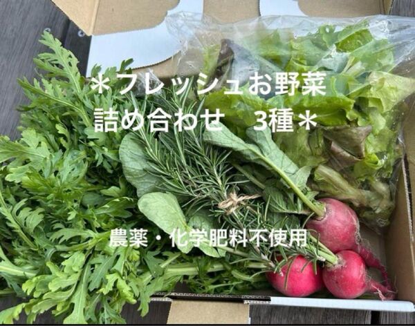 【フレッシュお野菜セット】 農薬・化学肥料不使用 ゆうパケットプラスいっぱい♪