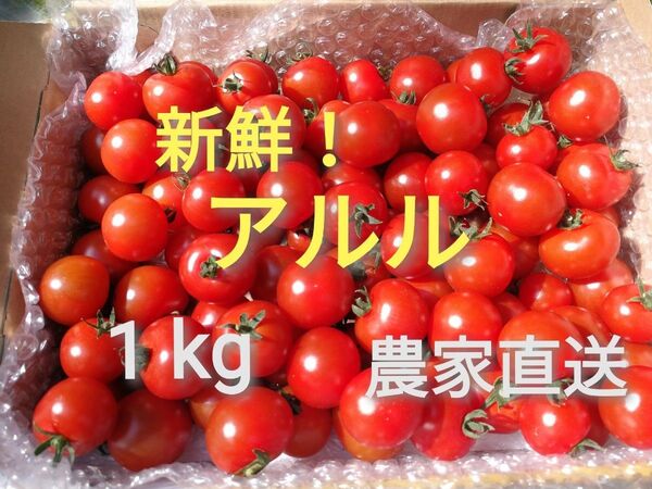 農家直送 ミニトマト アルル 1kg 福岡県産