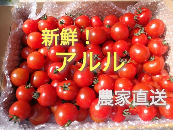 農家直送 ミニトマト アルル 2kg 福岡県産