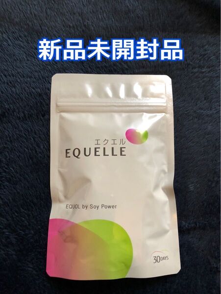 新品未開封品 エクエル 120粒 1袋