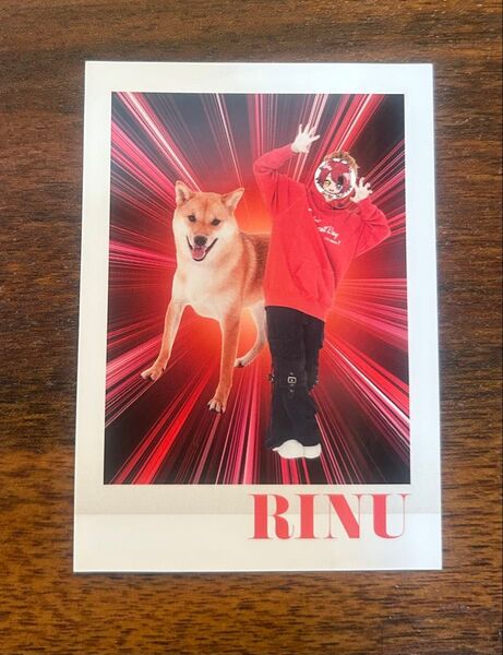 コロコロコミック 特典 すとぷり 莉犬くん