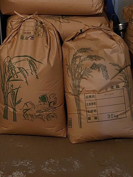 令和5年茨城県産 コシヒカリ玄米20キロ