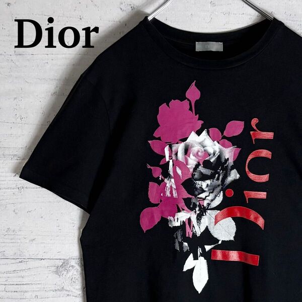 登坂広臣着用 Dior ビックロゴ ローズ 薔薇 Tシャツ S ディオールオム