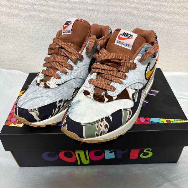 CONCEPTS × NIKE AIR MAX 1 SP 26cm
