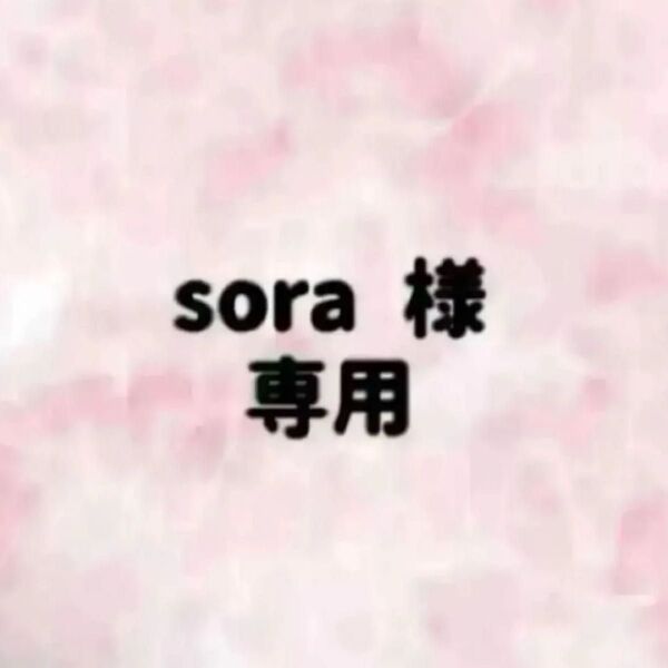 sora 様 専用