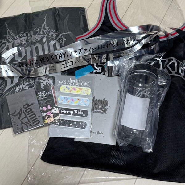 即購入◎straykids スキズ 2週目 抜け無し アプグレグッズ