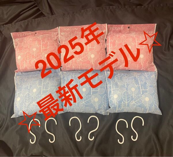 【最安値】最新モデル 帝人アクシア 除湿&消臭 乾っとソフトパックドライ 大6個 フック6個 ☆新品未使用☆