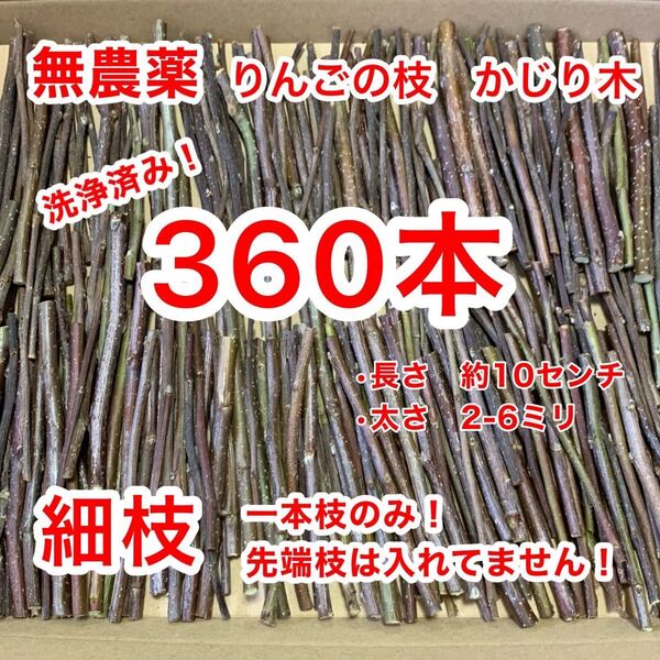 かじり木 360本 青森県産 りんごの枝 小動物