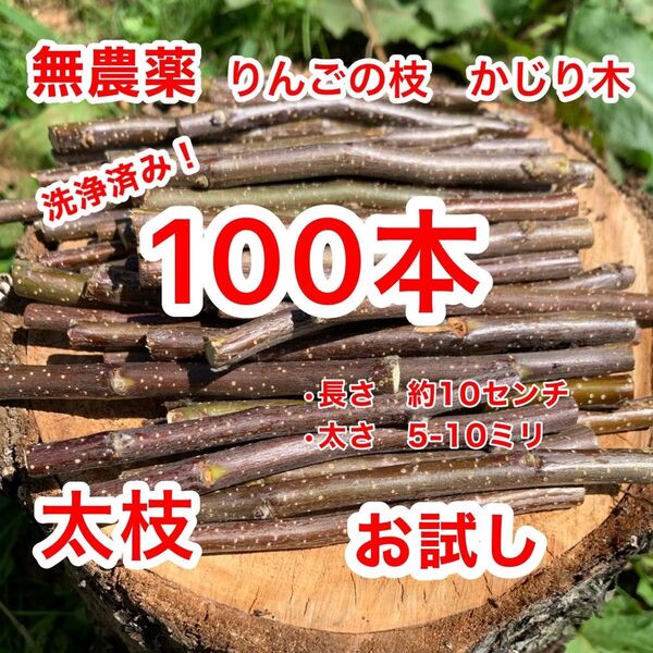 かじり木 お試し価格 100本 青森県産 りんごの枝 小動物