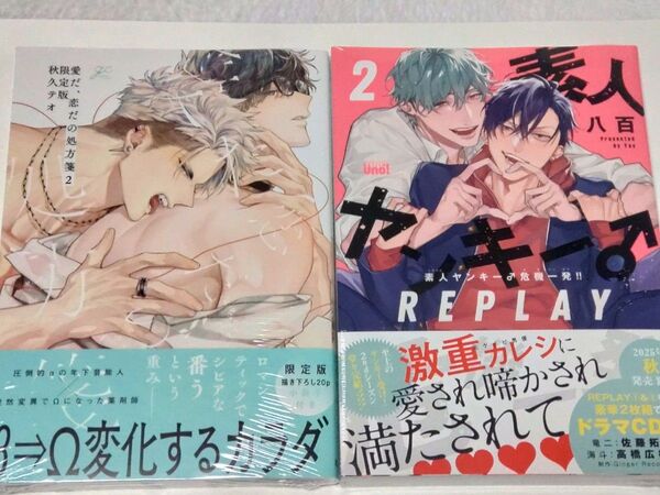 愛だ、恋だの処方箋2 限定版 秋久テオ 素人ヤンキー♂危機一発!! REPLAY2 八百