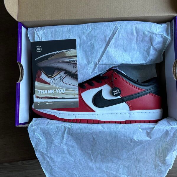 Nike SB Dunk Low Pro "J-Pack Chicago/Varsity Red and White"29.0cm