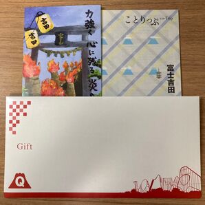 富士急ハイランド フリーパス引換券 ペアチケット(2枚組)有効期限2025年6月30日