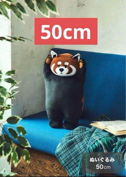 新品 イカク ぬいぐるみ 50cm グラニフ graniph ikaku