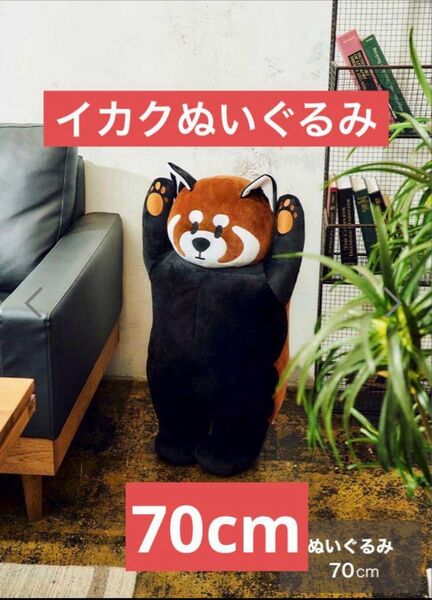 新品 イカク ぬいぐるみ 70cm グラニフ graniph ikaku