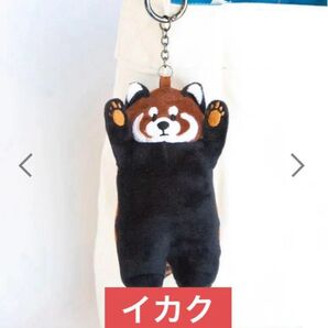 新品 イカク チャーム キーホルダー ぬいぐるみ グラニフ