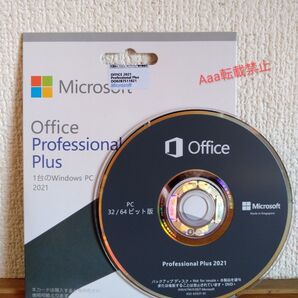 Microsoft Office Professional Plus 2021 DVD