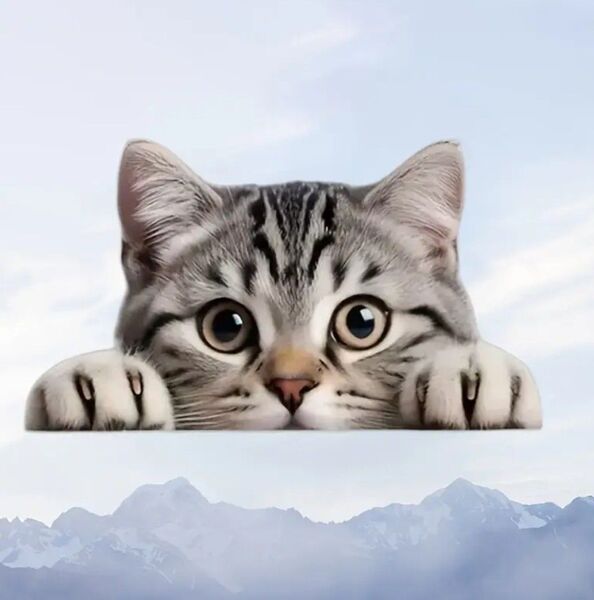 猫ちゃんの見てますよ!ビニールデカールステッカー