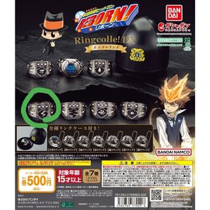 家庭教師ヒットマンREBORN 雷のリング