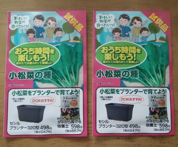 春の家庭菜園♪【小松菜の種 】2袋セット家計節約