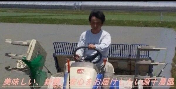 コシヒカリ白米9kg 段ボール込み約10kg こしひかり 減農薬 農家直送 源十農園 単一原料米