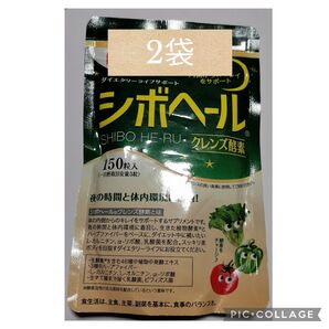 専用ページ