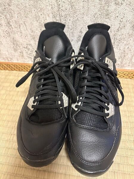 ブラック NIKE AIR ナイキ JORDAN GTX アシックス シューズ 野球 ベースボール シューズケース