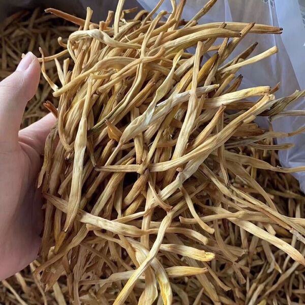 金針菜 100g 黄花菜 干し金針菜 きんしんさい キンシンサイ