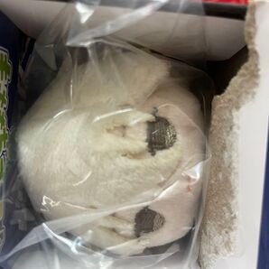 ブルーロック もちマス 凪 誠士郎