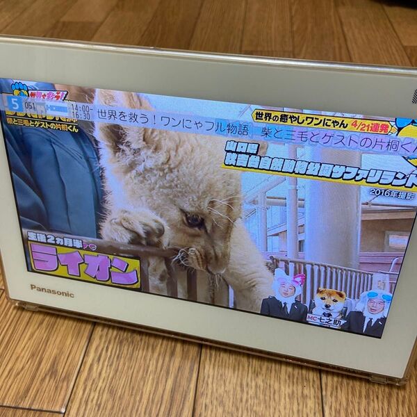 防水 パナソニック テレビ プライベート・ビエラ UN-10TD6D