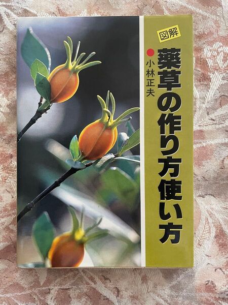 図解 薬草の作り方使い方 小林正夫