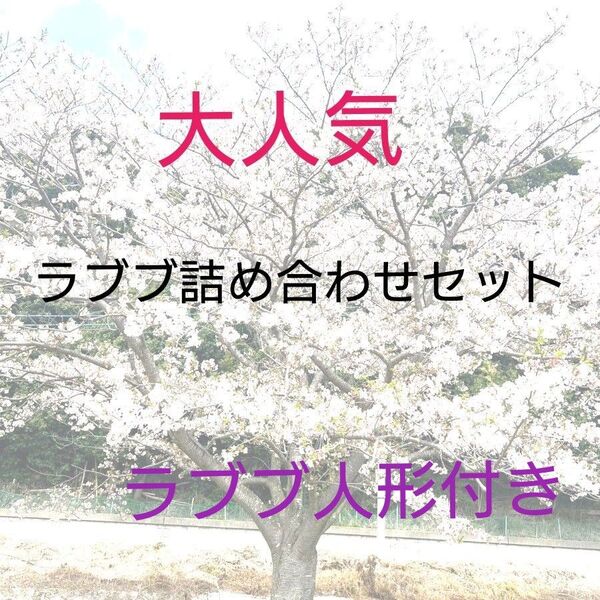 LABUBU グッズ まとめ売り