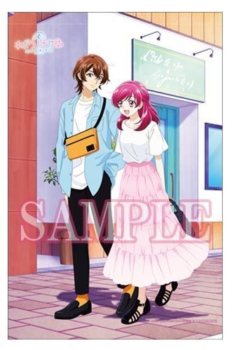 オトナプリキュア キボウノチカラ 特典 タペストリー Blu-ray ココ 夢原のぞみ YESプリキュア5
