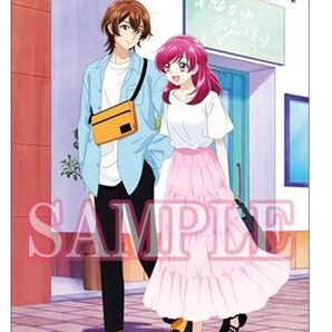 オトナプリキュア キボウノチカラ 特典 タペストリー Blu-ray ココ 夢原のぞみ YESプリキュア5