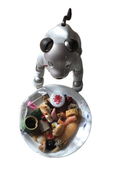 「SONY aibo」ERS-1000 かわいいバーチャルペット