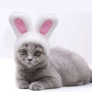 うさぎ ペット 犬 着ぐるみ 被り物 動物 ホワイト コスプレ 猫 帽子