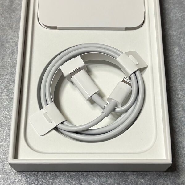 Apple ライトニングケーブル 充電 タイプC 純正品 iPhone
